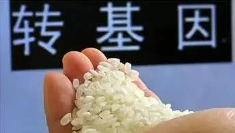 再过1天,吴江人做这些事全部免费 省下一大笔钱