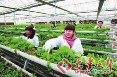 大丰海洋生物产业园成为国家级基地 时事