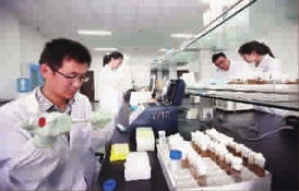 新民晚报数字报