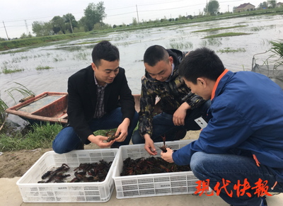 大丰区:“家庭农场+”富了百姓钱袋子
