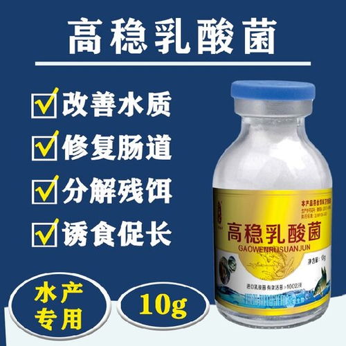 【水产养殖发酵用乳酸菌种哪里找,水产调水用生物菌】-