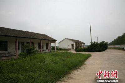 江苏大丰4万斤鱼死亡续:所用“鱼药”系假冒产品