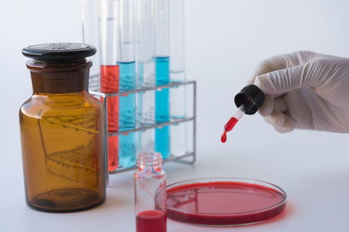 食品微生物检验学的含义 其主要研究任务是什么