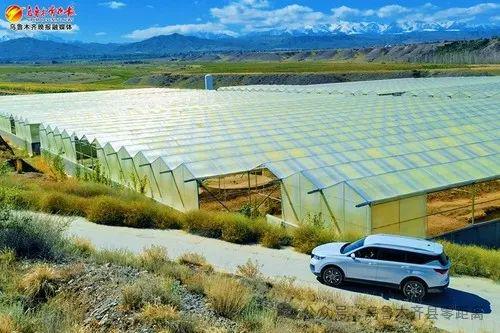 这里投资500余万元,用 模拟海水 养殖鱼虾大丰收