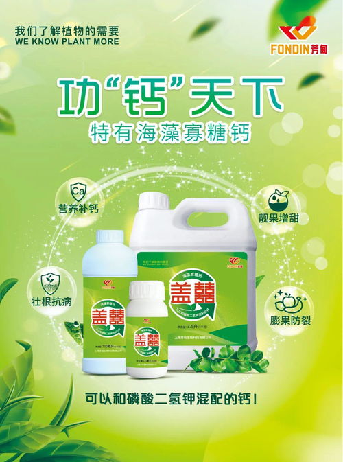 补钙 高效解决的秘密